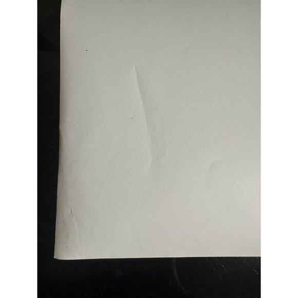 Vintage Roger Williams 1961 Swingin Along Movie Still Head Shot Photo - Picture 14 of 14